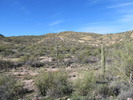 photo thumbnail #3