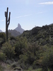 photo thumbnail #13