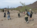 photo thumbnail #6