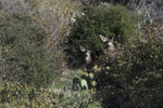 recent photo
