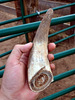 photo thumbnail #13