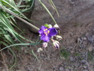 photo thumbnail #6