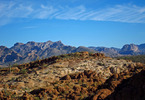 photo thumbnail #6