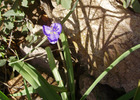photo thumbnail #12