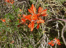photo thumbnail #15