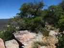 photo thumbnail #5