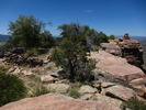 photo thumbnail #6