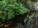 Featured Detail Photo