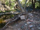 photo thumbnail #3