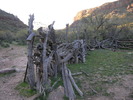 photo thumbnail #2