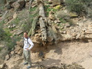photo thumbnail #10