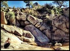 photo thumbnail #5