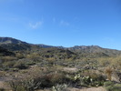 photo thumbnail #1