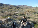 photo thumbnail #3