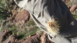 photo thumbnail #12