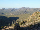 photo thumbnail #4