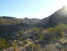 photo thumbnail #5
