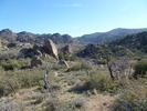 photo thumbnail #10