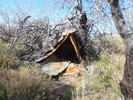 photo thumbnail #12