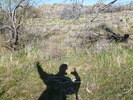 photo thumbnail #13