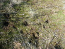 photo thumbnail #14