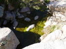 photo thumbnail #15