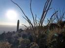 photo thumbnail #3