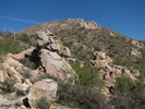 photo thumbnail #1