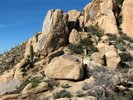 photo thumbnail #15
