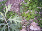 photo thumbnail #3