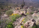 photo thumbnail #14