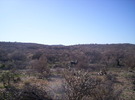photo thumbnail #15
