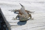 photo thumbnail #3