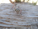 photo thumbnail #7