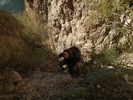 photo thumbnail #12