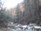 recent photo
