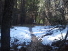 photo thumbnail #4