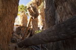 photo thumbnail #9