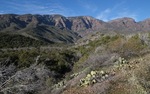 photo thumbnail #3