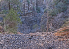 photo thumbnail #11