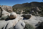 photo thumbnail #8