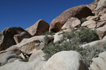 photo thumbnail #10