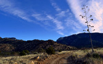 photo thumbnail #1