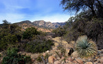 photo thumbnail #15