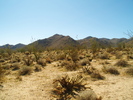 photo thumbnail #1