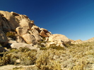 photo thumbnail #3