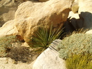 photo thumbnail #4