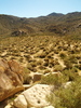 photo thumbnail #7