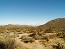 photo thumbnail #11