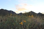 photo thumbnail #1